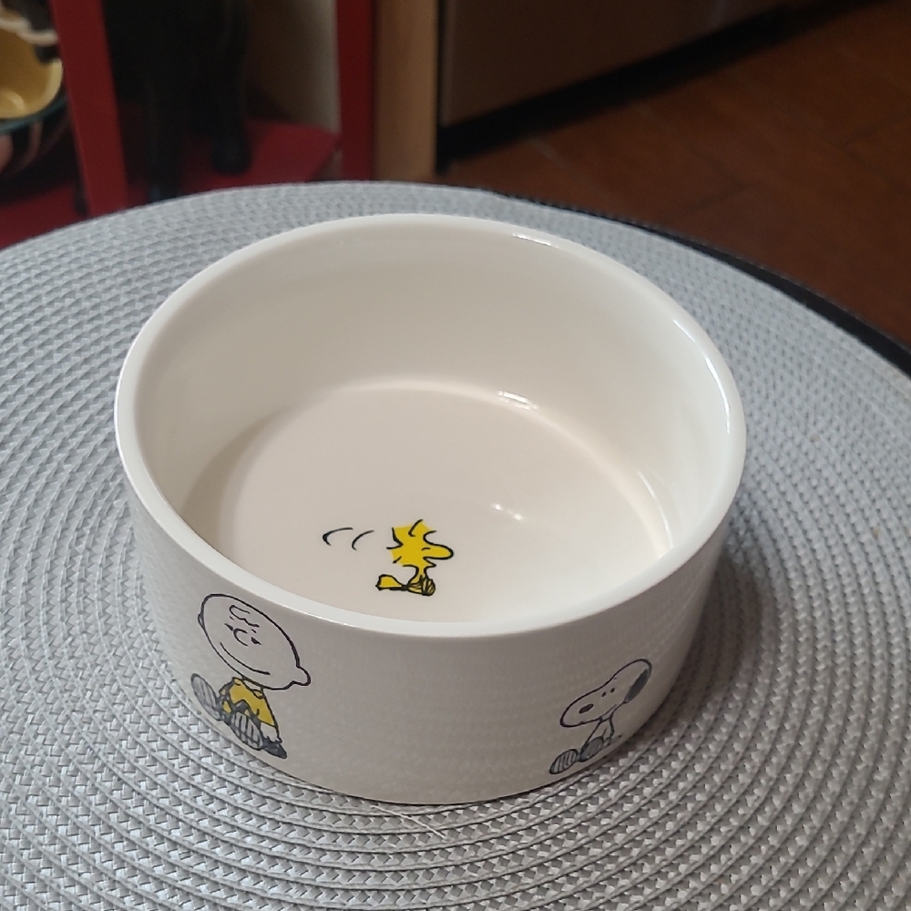 Peanuts Stoneware Pet Bowl